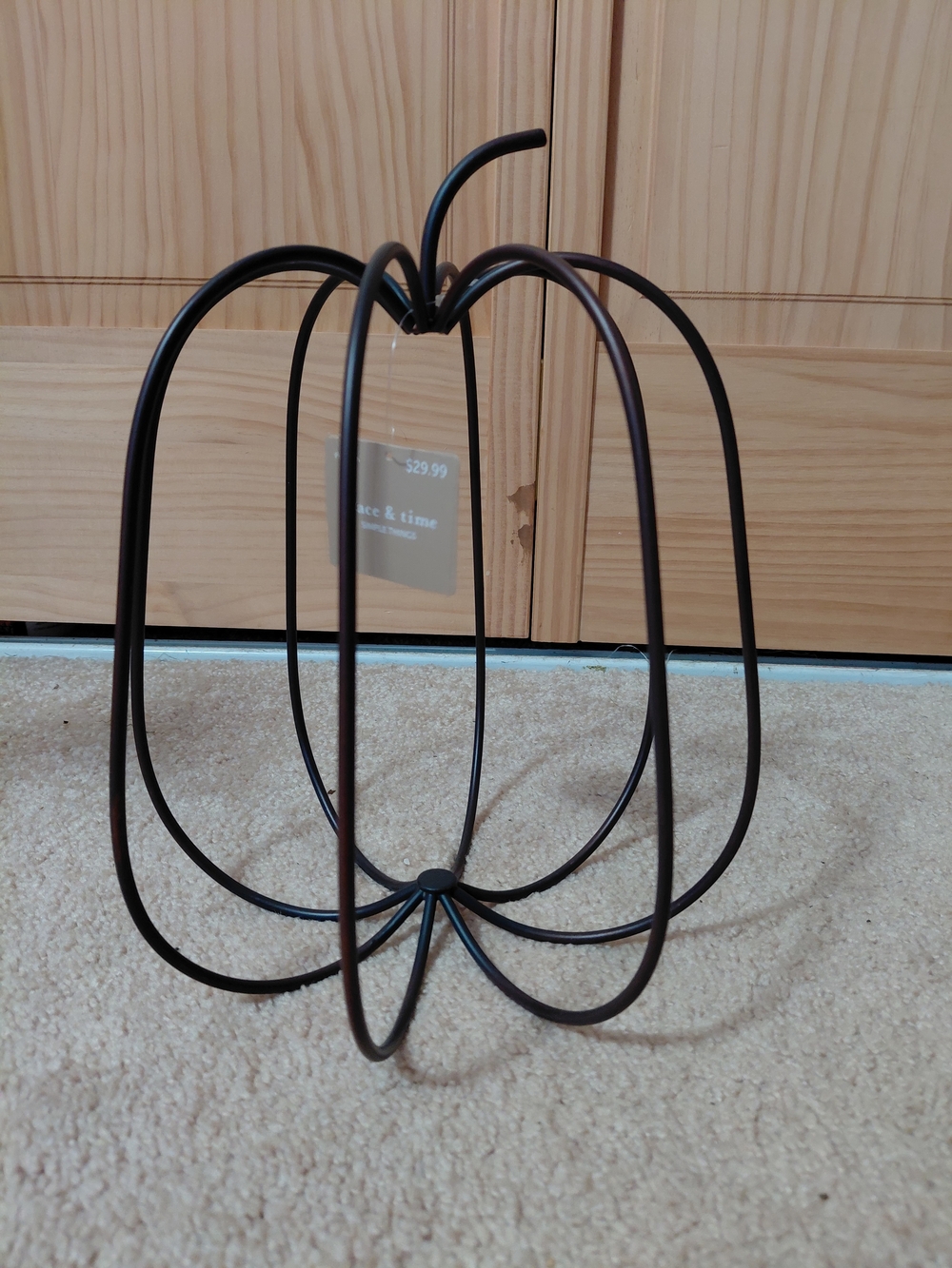 Decorative Wire Pumpkin Frame - Black - Place & Time